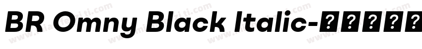 BR Omny Black Italic字体转换